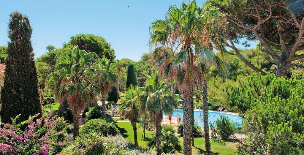 Badine Beach 5P Plage Piscine Balneo Clim Jardin Exotique Hyères Exteriér fotografie