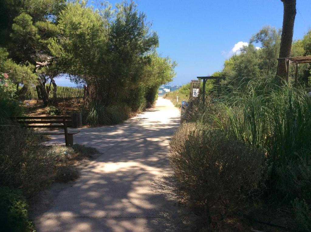 Badine Beach 5P Plage Piscine Balneo Clim Jardin Exotique Hyères Exteriér fotografie